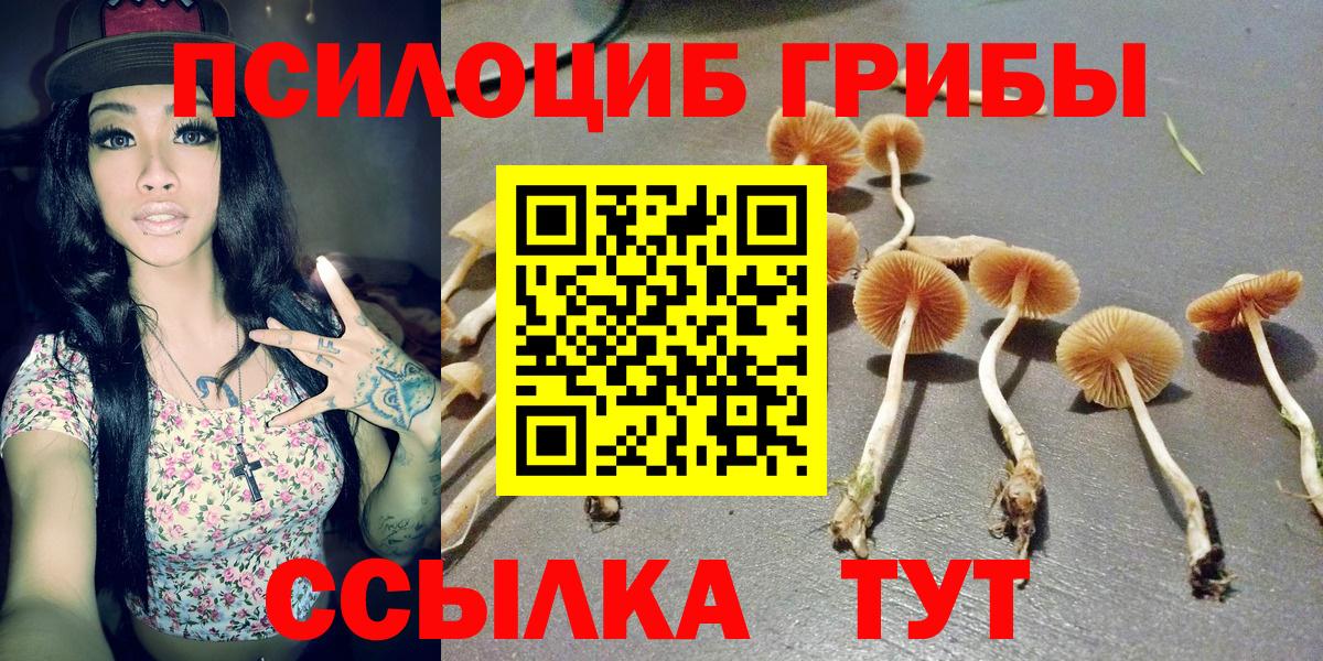 Галлюциногенные грибы Psilocybine cubensis Мыски