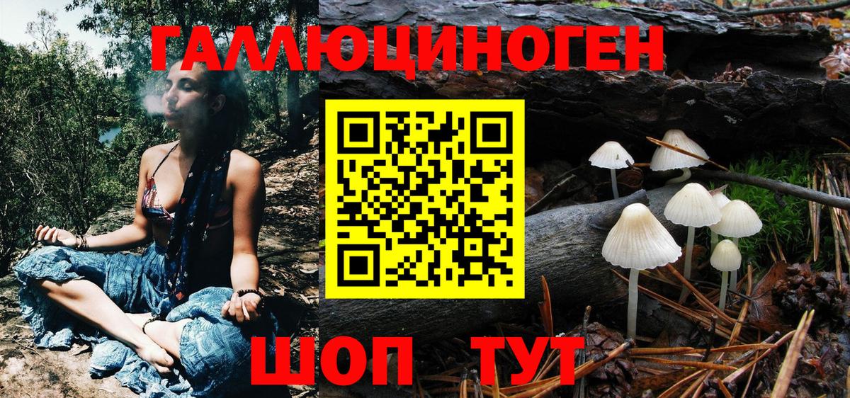 Псилоцибиновые грибы Psilocybine cubensis  Вход с VPN  магазин продажи   Мыски 